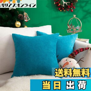 yzTopfinel NbVJo[ lۂ 50×50cm k  Ȗ n \t@w Jo[ zcJo[ u[ 2ZbgiS10Fj