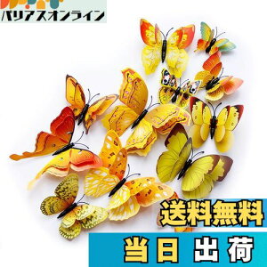 yzULIN  3D  EH[XebJ[ ǎV[  ʃe[v V[ rO ① CeA ǃV[  킢 EH[y[p[ |X^[ CG[