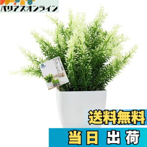 yzTOSSOW lHϗtA  tFCNO[ tFCNϗtA l CeA v[g Ηt