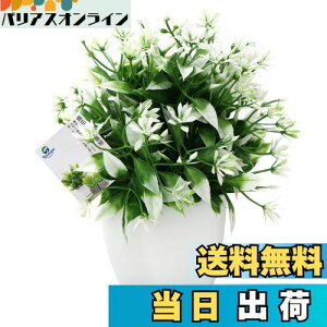 yzTOSSOW lHϗtA  tFCNO[ tFCNϗtA l CeA v[g ΂Ɣt