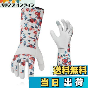 yz[Vgo...] fB[X K[fO[u  rJo[ gQh~ rv| p O  Ɨp (Size L,zCg,GA9658)