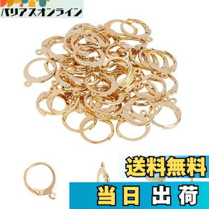 UNICRAFTALE 50 1mm t[vsAXp[c 304XeXo[obNCOp[c tX [vt CNbv sAX p[c tbN S[f  X^bhsAX  C