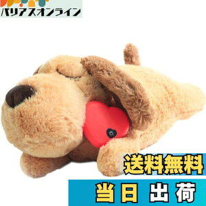 yzDEWU ybgpn[gr[gʂ݁Aqŝ\tgybgg[ʂ݃X[sOofBs⏕sɘa⏕ʂ݃X}[gL