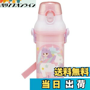 yzXP[^[(Skater) qp vX`bN  480ml vbVJ R qɗD y RۉH { J 23 ̎q PSB5SANAG