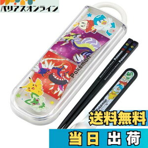 yzXP[^[(Skater)  Xv[Zbg R |PbgX^[ 23N { CCA1AG-A