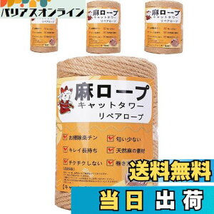 yzyƊďCz[v  6mm R Ђ yA[v L^[ XNb`[ ܌ Lbg^[p ܂Ƃ  DIY |(100m)