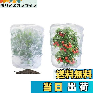 yzLIANHATA hlbg 2Zbg AیJo[ bVВ hlbg 悯Jo[ ؖ ΍ ʋC  Ap ؍͔| ؉v^[p (80*80cm)