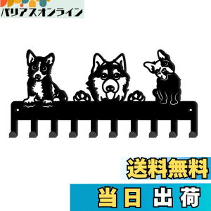 SUPERDANT 3ČL[tbN StbN Ǌ|tbN L[z_[ ǎtR[gbN EH[nK[ }`tbN lWttbN ǖʎ[  ω׏d EH[b