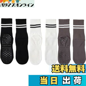 yz[DFsucces] K\bNX ~ KC 3 Õ\bNX  ۉ seBX \bNX RۏLC z z ʋC X|[c tBbglX I[V[YΉ 