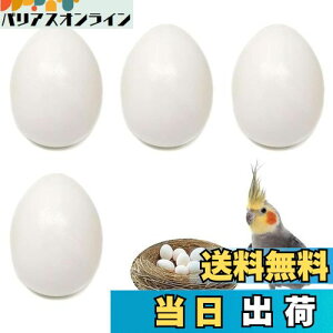 yzPAVIKE U  4Zbg CR tFCN`LGbO bgngɐBpi lHlXg HiTv tFCN_~[GbO IJCR ERCR RUNC