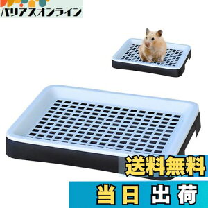 yzPAVIKE gC y25*19.5*3cmzbggC gCg[ Ch bVt ybgpiAȒPAAtFbgA``AETMAgCg[j