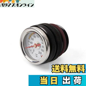 yzazumafy v oCNpv GWv ^NJo[ ICev[^[ AiO I[goC GW 1987-1998N 650 ICv ubN
