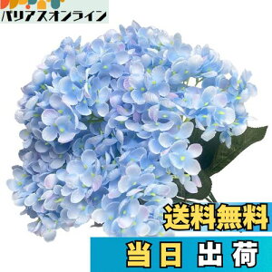 yzhimsyuden AWTC z  5 VNt[   A[gt[ DIYԍ Be lH Mtg j ԑ ItBX iX  CeA