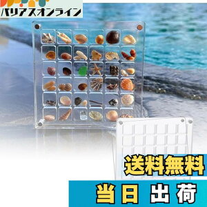 yzsiawadeky Lk fBXvC {bNX 2Zbg S }Olbg ~jLk{bNX h ho AN VF[P[X L qgf lC r[Y  CP[X 