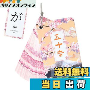 yzPAVIKE Ђ炪ȃJ[h J[h ЉJ[h  J[h  {̕׋ Ol  y ^тɕ֗ tbVJ[h ܏\J[h {wKJ[