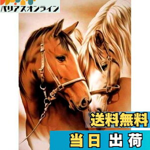 yzReofrey _Ch̊G n, _ChA[g NXXeb` Lbg , Lbg Sʓ\t^Cv r[YA DIY |Lbgz[ Xg CXg[ 