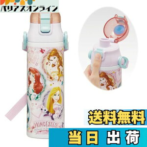 yzXP[^[(Skater) qp XeX   580ml fBYj[ vZX 24 qɗDyʃ^Cv ۗp waterbottle X|[c{g  LbY q ǂ r