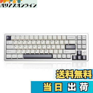 yzYUNZII AL71 JjJL[{[h 68% RpNg tA~CNCH KXPbg\ [Bluetooth/2.4G/USB-C O[hڑ] zbgXbvΉ NKRO RGBobNCg Win/MacΉ ZKF