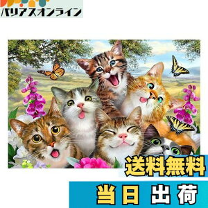 yzJISHSHAY _ChA[g L 50x40cm _ChA[g Lbg r[YA[g _ChA[g  DIY _ChA[g  5D _ChA[g  lC Lbg 