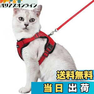 yzRabbitgoo L n[lX [h Zbg Ȃ Lpn[lX \tgy Lp ^ ^ U ЊQ ́[˂ [ グ TCY߉ 锽 ʋC