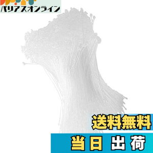 yzDFsucces ^Ot@Xi[ [vbN 1000{ lD ɕ֗ [vs vX`bN Xܗp e[v  ^O Ɩp mp (, 18cm)