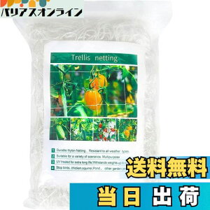 yzDERAYEE |lbg |pgl 1.67m×c5m 15cmԖ iq A