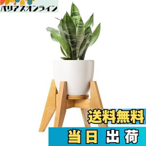 yzt[X^h Yangbaga X^h | Ƒ O  K[fjO ߉\ ő׏d30KG