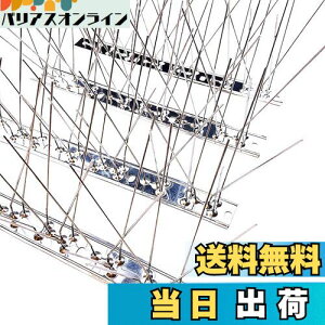 yzONESORA  悯 100%XeX o[hs ϋv y 3mz 悯 XpCN 悯 R LhS JX悯 ̃tQ΍  x_ J[|[g  Ԍ A