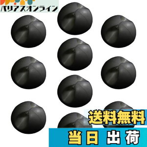 yzF-FACTORY R[hNbv P[uNbv ʃe[vt  ubN 10 FNT-CLP28BK-10P