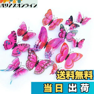 yzULIN  3D  EH[XebJ[ ǎV[  ʃe[v V[ rO ① CeA ǃV[  킢 EH[y[p[ |X^[ p[v