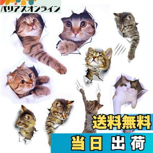 yzPazi EH[XebJ[ L   XebJ[ ˂ V[ 킢 3D ȒP DIY  \Ă͂  ǎ gC  Lb` CeA