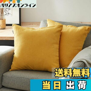 �y���������zTopfinel �N�b�V�����J�o�[ ���l�����ۂ� 45×45cm �k�� ������� �Ȗ� ���n �\�t�@�w���� �������J�o�[ ���z�c�J�o�[ �C�G���[ 2���Z�b�g�i�S10�F�j