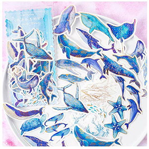 yzAlideco 60 t[NV[ 킢 C̐  R[Wf XebJ[  CO ؍ V[蒠  30 fUC e2 (NW(huashengudaodejing))