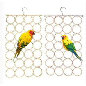 yzASPALAND  nbN 2_Zbg  CR  p Vя  ݂艺 ~܂ NC~O o[hgC