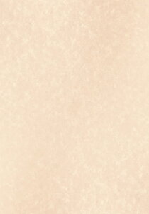 yzASTAR ؖ 10 p܏p ݉\Ȗ@菑 dvނ̈ wpؖp pp r玆 򏑎 ؏ ӎ 