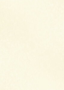 yzASTAR ؖ 10 p܏p ݉\Ȗ@菑 dvނ̈ wpؖp pp r玆 򏑎 ؏ ӎ 