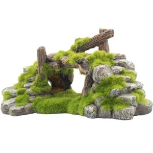 yzASPALAND  IuWF u   ANAE  B  _J Gr VF^[ I[ig