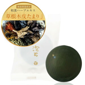 yz炢 Όi1j  ΂  痿 ь PA  ێ  ҂ an[u v[g Mtg TCYF35O (x 1)