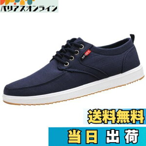 yz[Lopis] Y Xj[J[ y V[Y [Jbg JWA LoX C EH[LOV[Y  ɂ Sn FFlCr[ATCYF24.5 cm