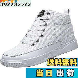 yz[ziitop] V[NbgV[YKp 6cm/8cmgAbv Y fB[X V[NbgXj[J[ nCJbgXj[J[ Y JWA jOV[Y X|[c y C 