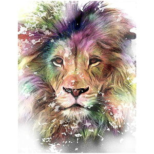 yzJISHSHAY _ChA[g lpr[Y S 40x50cm _ChA[g CI 5d _ChyCeBO Sʓ\t^Cv _ChA[g XNGA A[g X