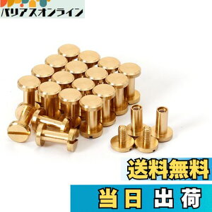 yzVJSXN[ 20 8×4×9mm ^JglW R` obO xg т傤 xbg X^bY p[c e xbg X^bh lW U[Ntg DIY nhCh p[