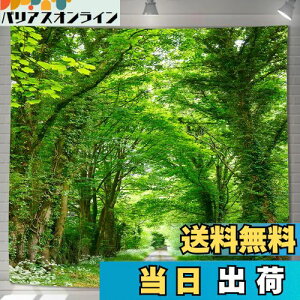 yzU-SITU ^yXg[ Ǌ| Ǐ ъԓH X  RiF IV wi @\ z|X^[ CeA ͋C]iTCYF180cm x 180cmjJ[FGT0794FC