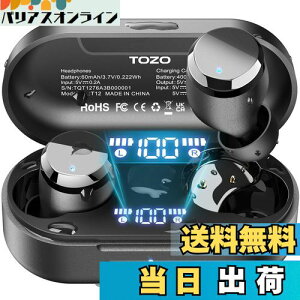 【送料無料】TOZO T12 ワイヤレスイヤホン 2025 極上の音体験 迫力かつ繊細な音 LEDディスプレイ電池残量表示 防水性能 ENCノイズキャンセリング カスタムEQ 専用アプリ対応 タッチ制御 最大約55