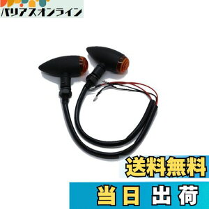 yzBeatus eی^ ~j ECJ[ lWa10mm oCN ėp JX^ p[c 12V 2Zbg LEDł͂܂ (ubN×Ao[ 2)