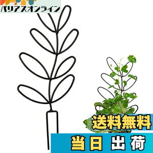 yzYUWENW |x Ax 1Zbg Ԃ Ԏx AT|[g ϗtA T|[g A|h~ Œ\ ėp\ AŒ A UT|[g 鐫Ap 