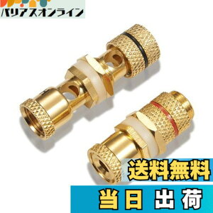 �y���������z�y�o�i�i�v���O���p ���X���X�zby �yWYVERN AUDIO�z �o�i�i�v���O������/���p�I ���v�≏���� ���X�̃��X WV-CHU-K ��1��1 (2��1�g)