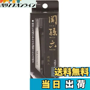 【送料無料】貝印 KAI 関孫六 毛抜き 先斜 収納ケース付き シルバー ピンセット用 ムダ毛 HC1806