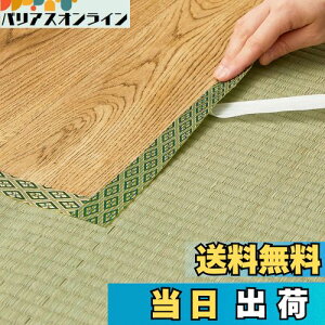 yz(Hagihara) EEȌCpe[v O[ 3m uNo.12v {