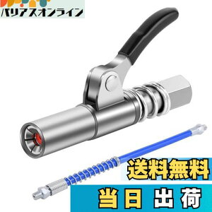 yzCHENLONB O[XK OXJv[ VOnhZtbLÕo^[mYwbh 蓮O[XmY H JȒP 30cmz[Xt